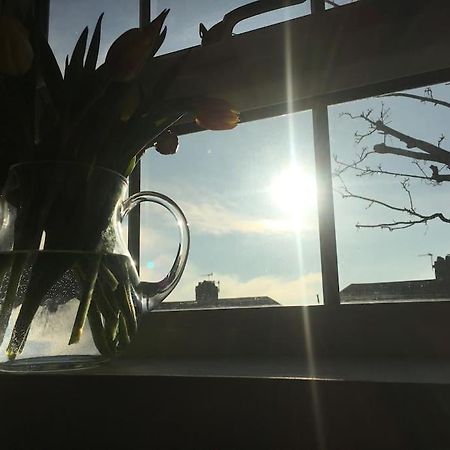 Brighton Boutique Garden Studio With Free Parking 外观 照片