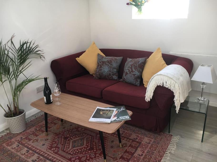 Brighton Boutique Garden Studio With Free Parking 外观 照片